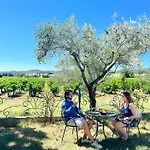 Des Vignes En Drome Provencale Rochegude (Drome)