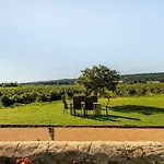 Des Vignes En Drome Provencale *