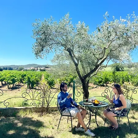 Des Vignes En Drome Provencale Rochegude (Drome)
