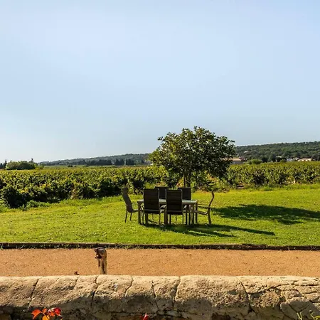Des Vignes En Drome Provencale *