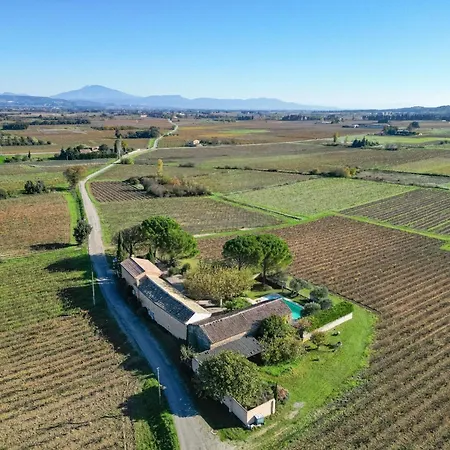 Bed & Breakfast Des Vignes En Drome Provencale