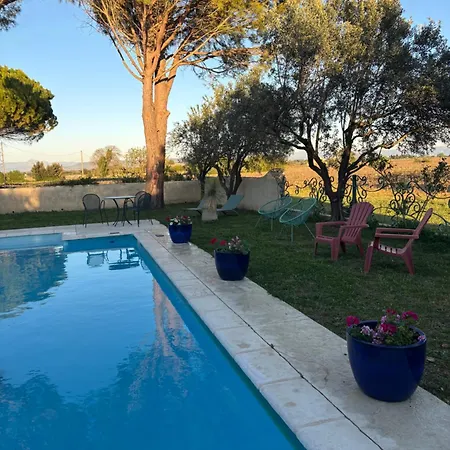 Des Vignes En Drome Provencale * Rochegude (Drome)