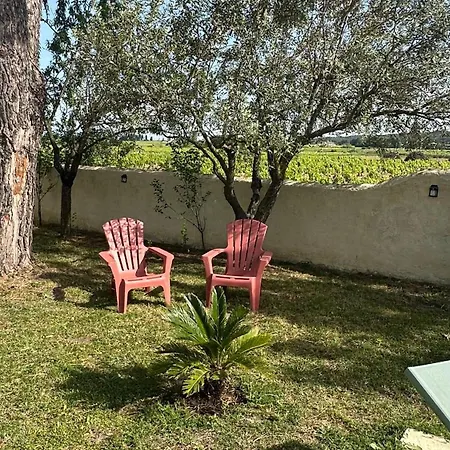 Des Vignes En Drome Provencale Bed and breakfast Rochegude (Drome)