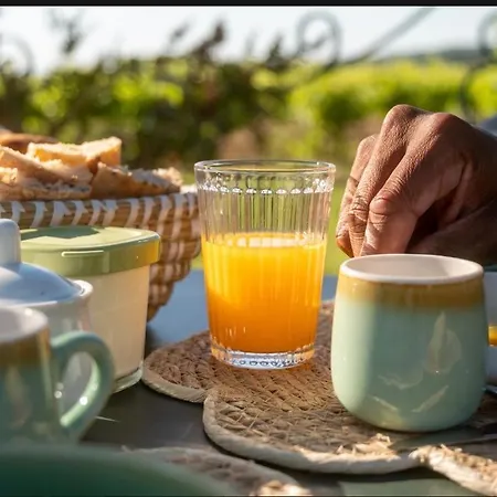 Bed and breakfast Des Vignes En Drome Provencale *
