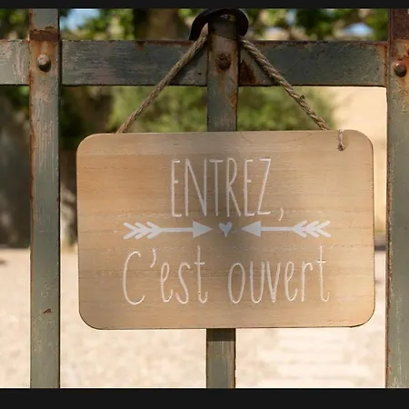 Des Vignes En Drome Provencale