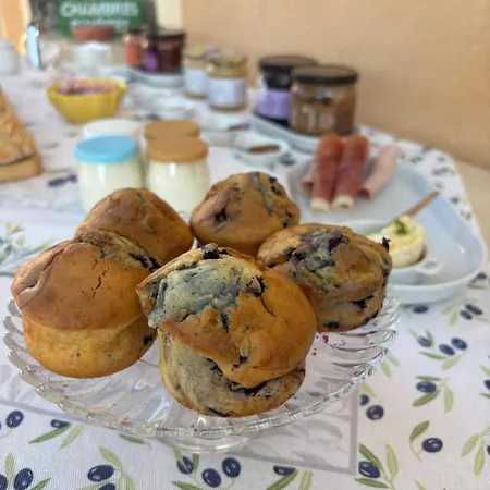 Bed and breakfast Des Vignes En Drome Provencale *