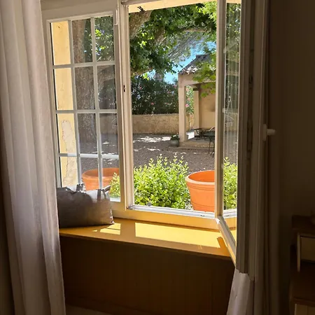 Des Vignes En Drome Provencale * Rochegude